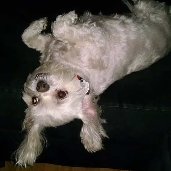 Meet your Posher, Angela :D - Picture 7 of 8